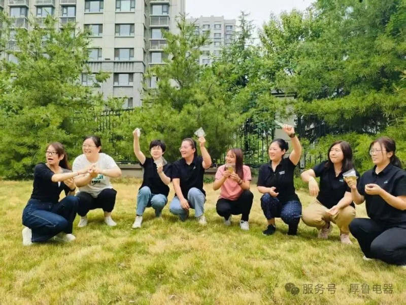 【厚鲁电器】与'艾'相遇，制'皂'美好